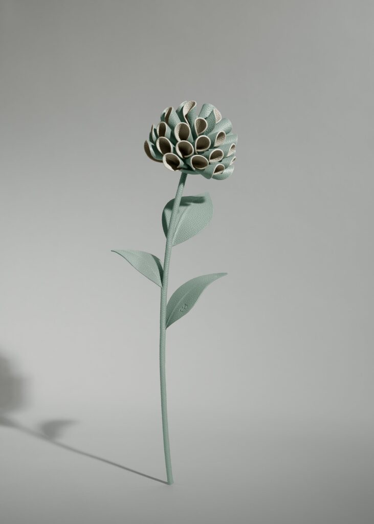 Fleur Dalium - Amande Fraîche