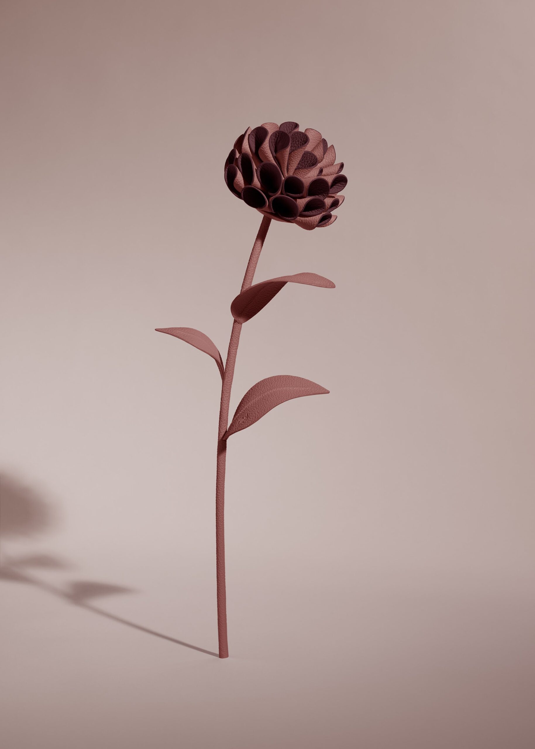 Fleur Dalium - Lilas