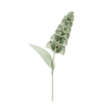 Fleur Orki - Amande Fraîche