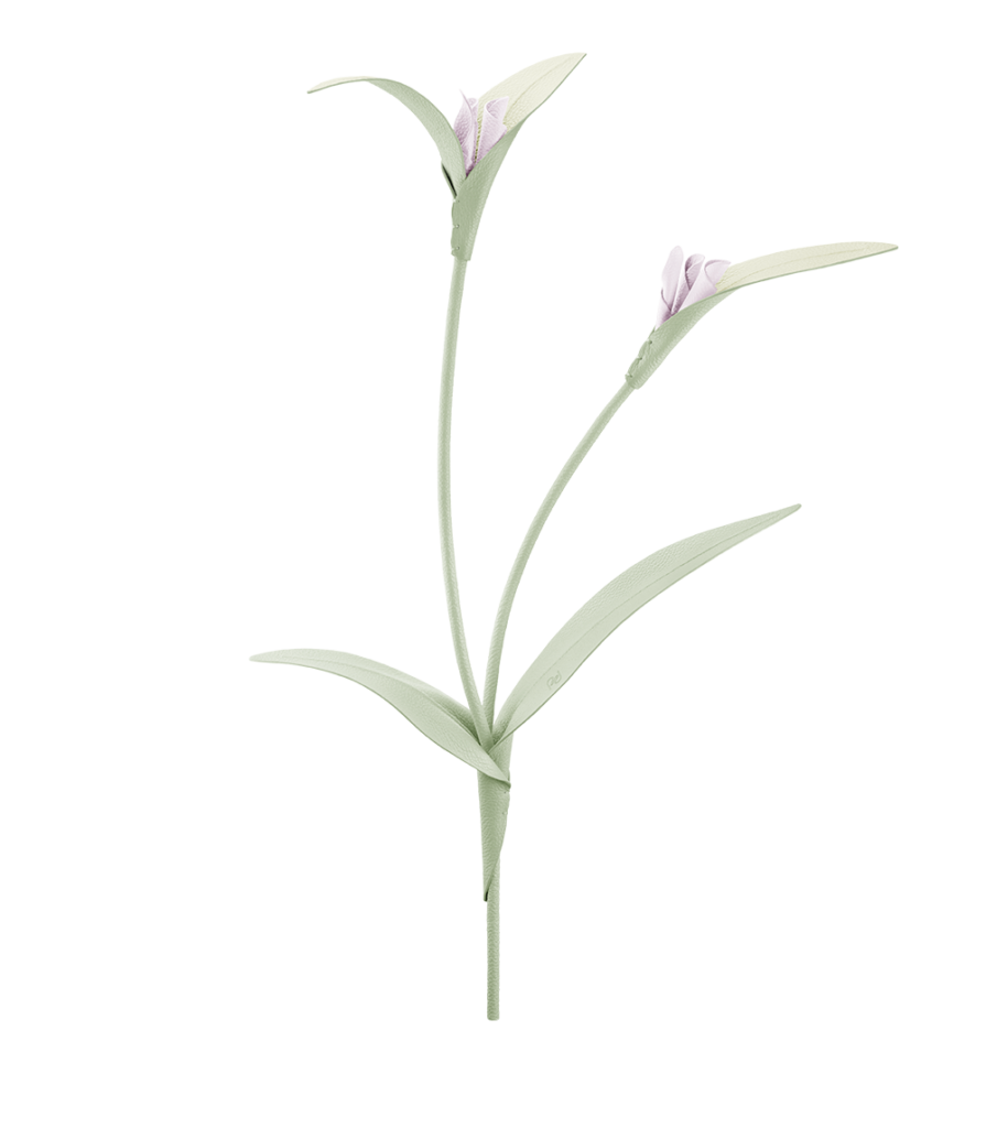 Fleur Touka - Amande Fraîche