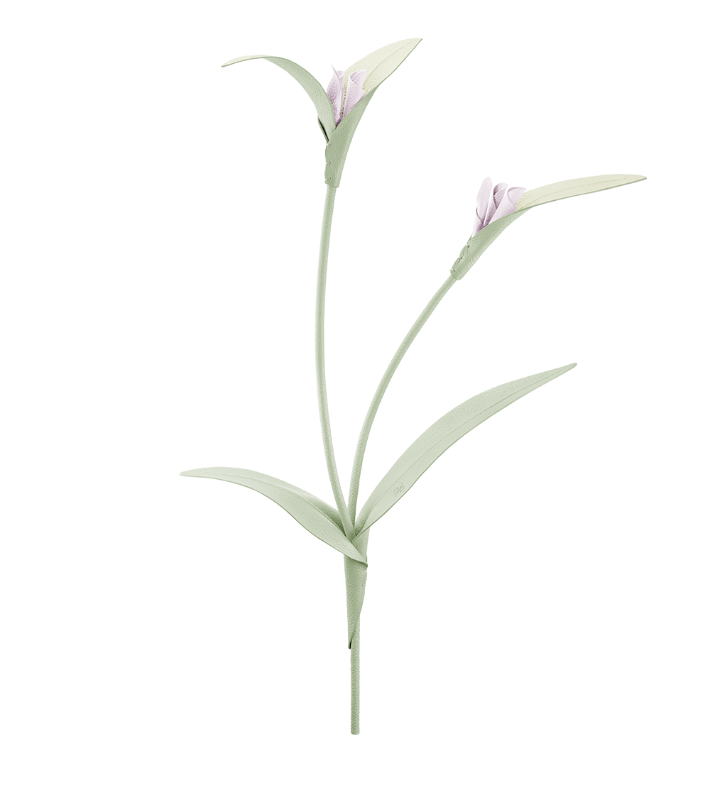 Fleur Touka - Amande Fraîche