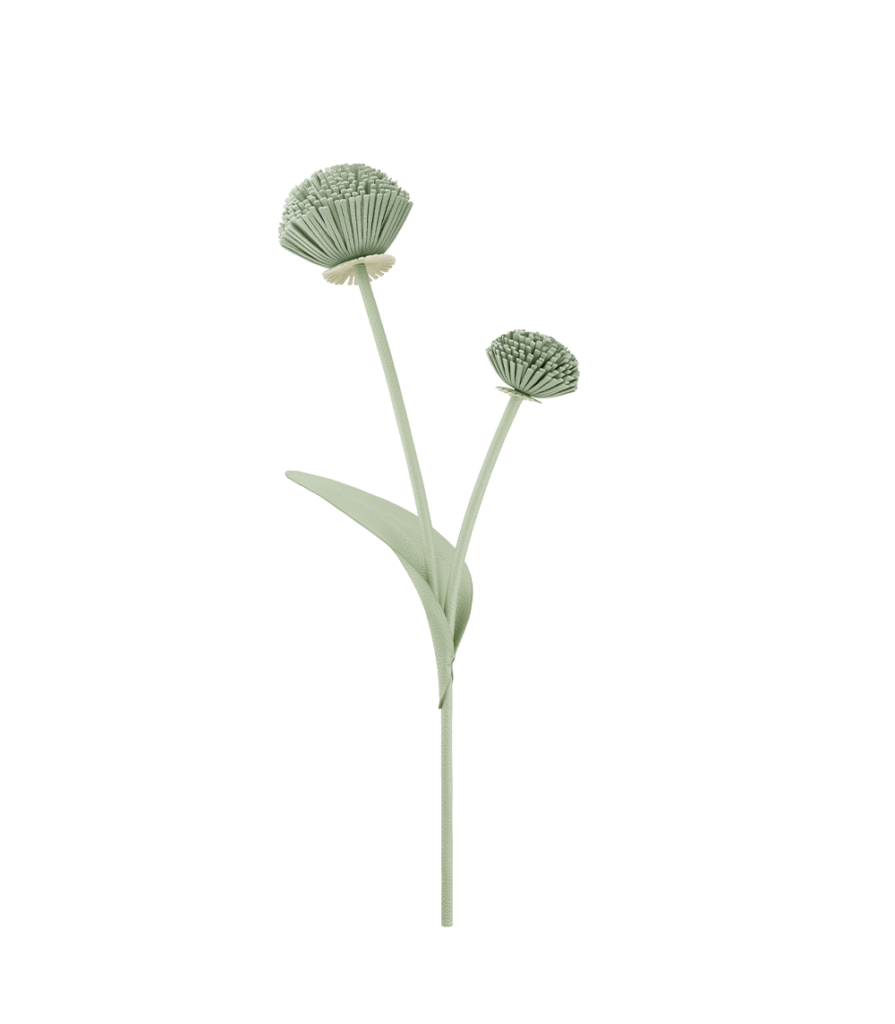 Fleur Tul - Amande Fraîche